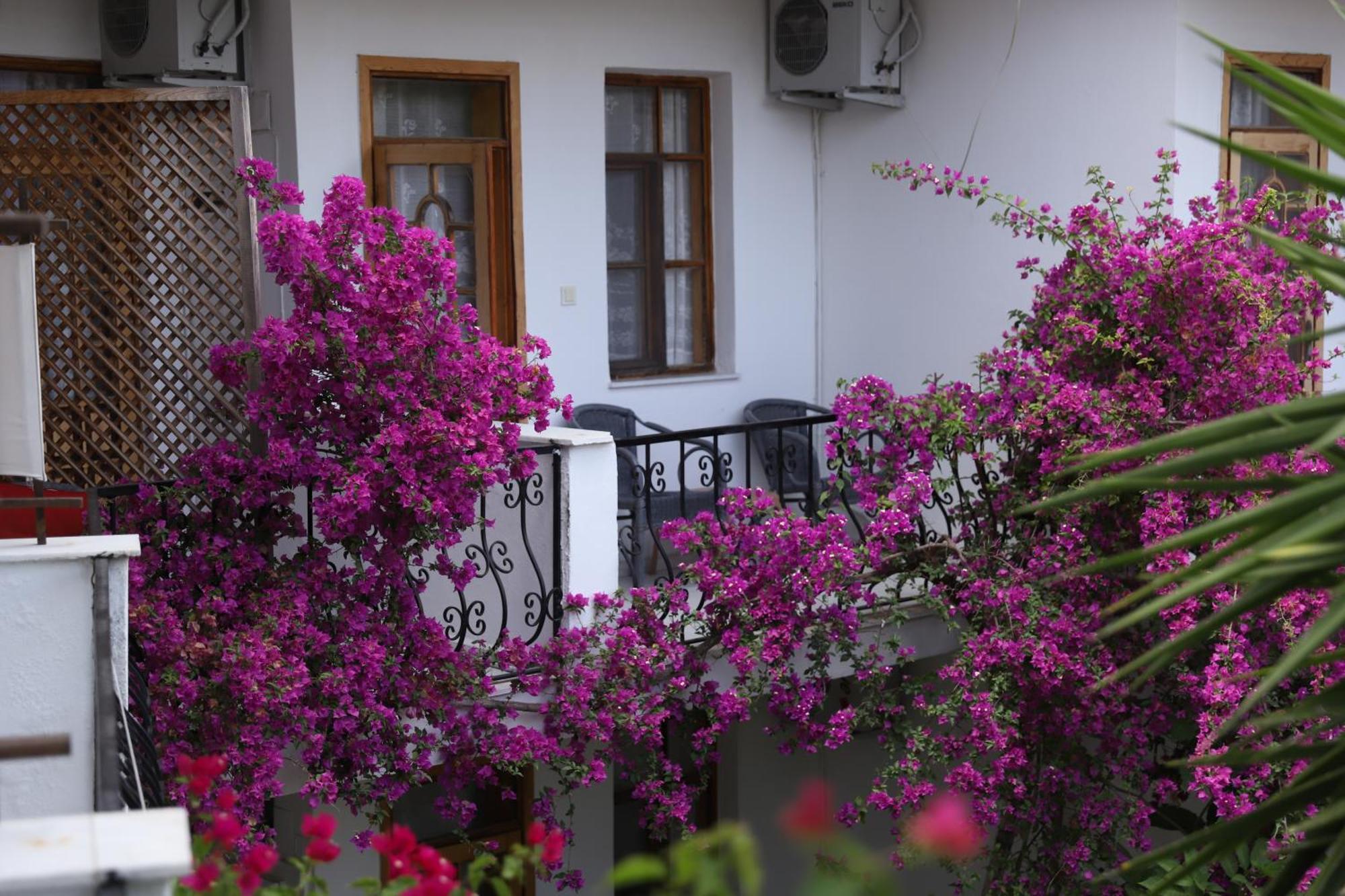 Yeni Doga Hotel Дальян Екстер'єр фото